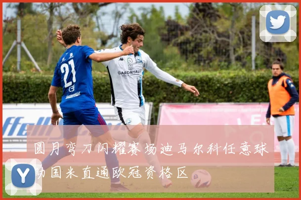 圆月弯刀闪耀赛场迪马尔科任意球助国米直通欧冠资格区